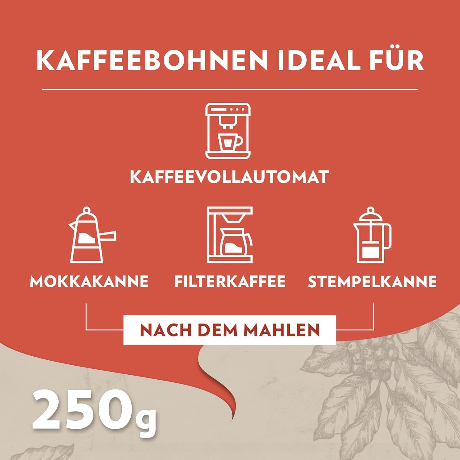 Lavazza, Tales of Roma, café en grano, ideal para máquinas de café Espresso, con notas de aroma a avellana y chocolate negro, Arábica y Robusta, 250 gramos Café Naty Shop