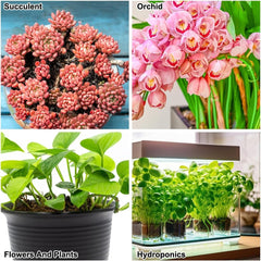 Gránulos de arcilla de grano grueso, gránulos de arcilla expandida, gránulos de plantas, sustrato de plantación hidropónica de arcilla expandida de 1 litro, gránulos de arcilla de granulación de 5-8 mm