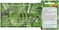Stk - 10X Begonia Urticae Ziersträucher Garten Pflanzen - Samen ID346 -