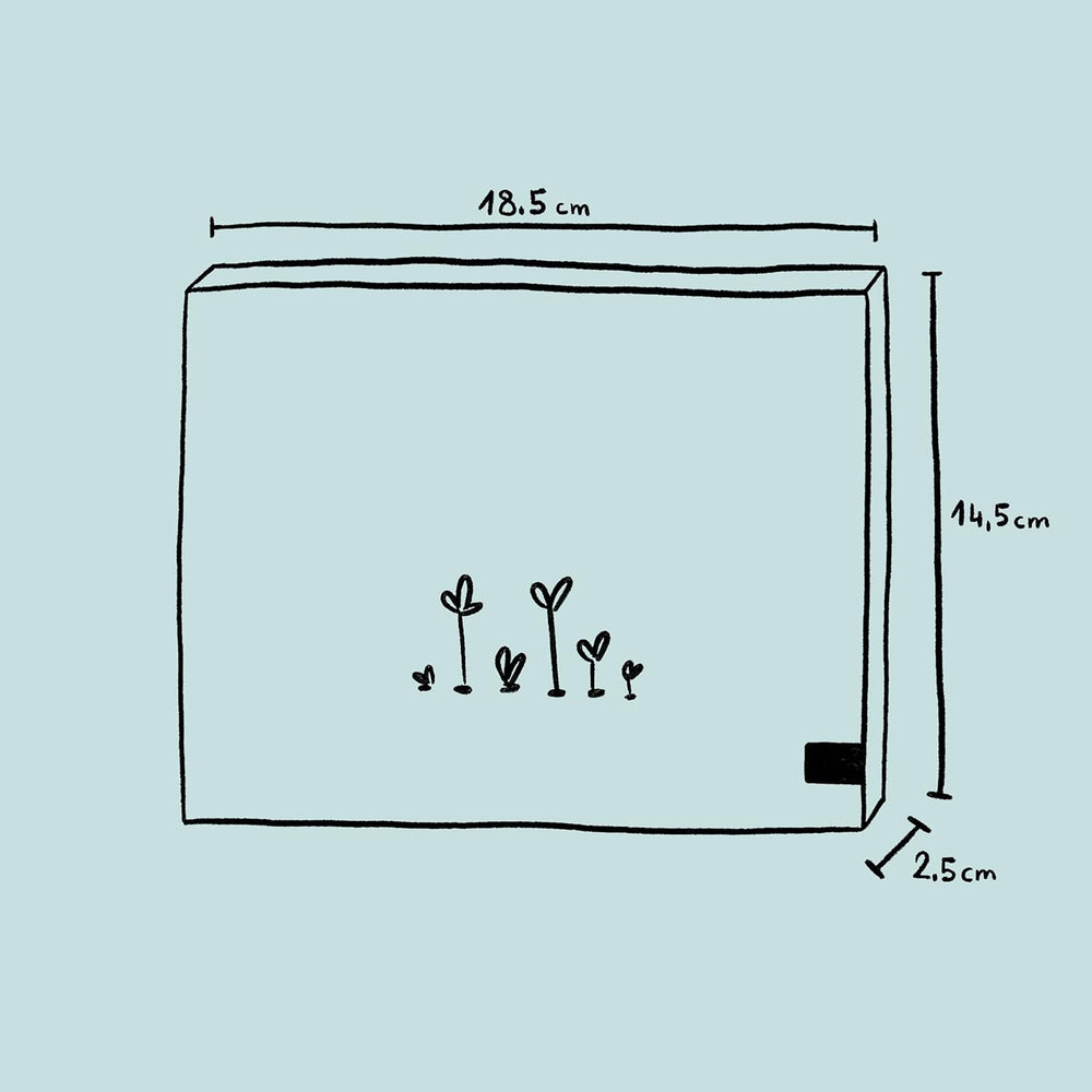 Plantas aromáticas: set de regalo con semillas y 6 plantas con hermosas flores aromáticas