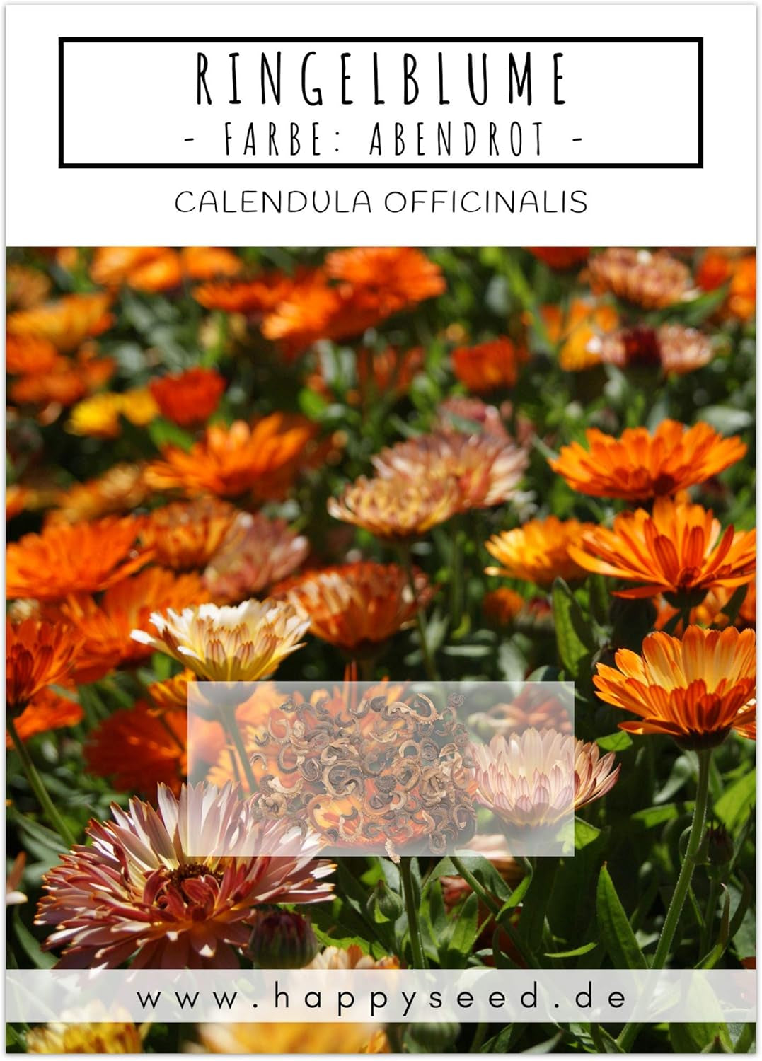 Semillas de caléndula (Calendula officinalis) - Planta medicinal versátil con flores comestibles e ideal para un prado de flores coloridas (Abendrot)