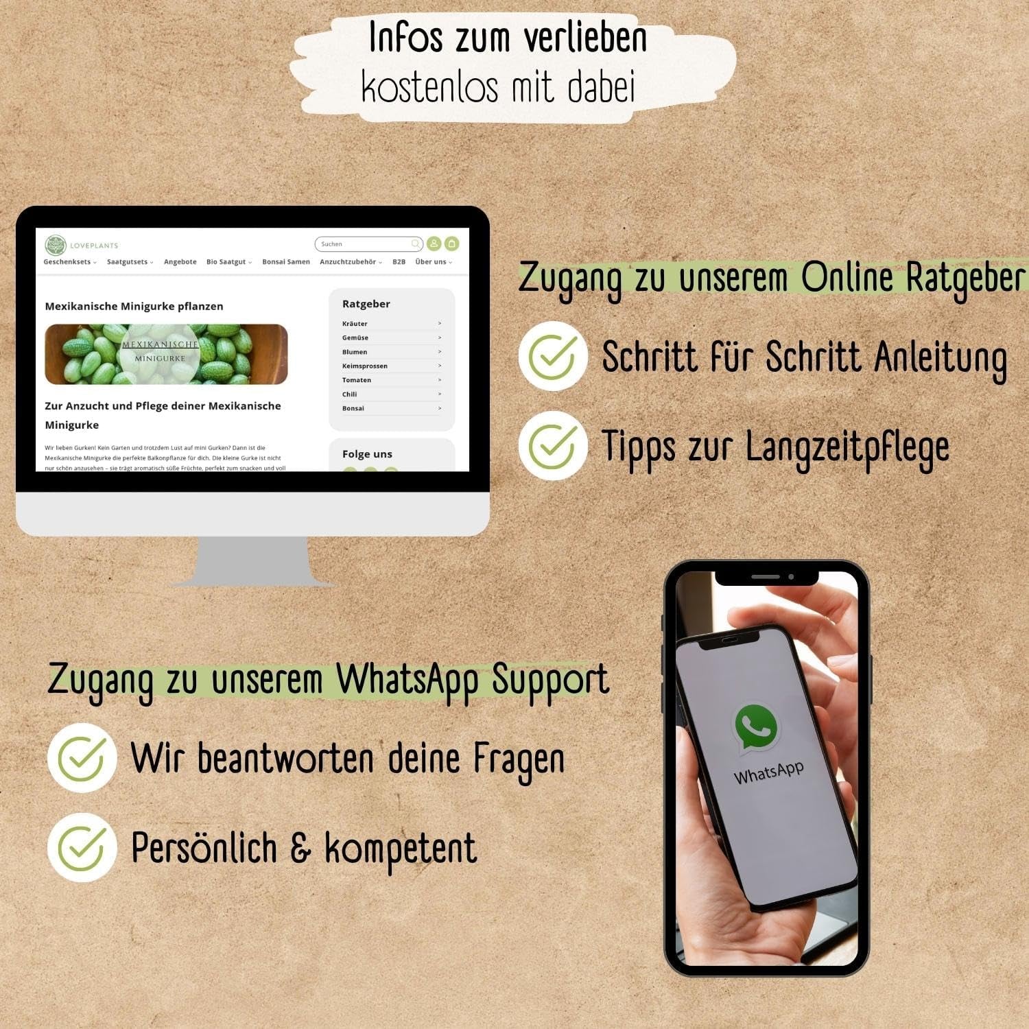 Mini semillas orgánicas de pepino mexicano, 10 semillas de pepino snack, alta tasa de germinación, certificación Demeter y polinización abierta | LOVEPLANTS Balcón Jardín Cama elevada Semillas de hortalizas - Variedades de hortalizas tradicionales