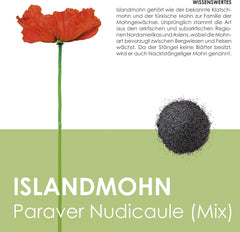 Mezcla de semillas de amapola de Islandia (Papaver nudicaule): hermosas amapolas en flor con un largo período de floración para un prado de flores coloridas (Amapola de Islandia)