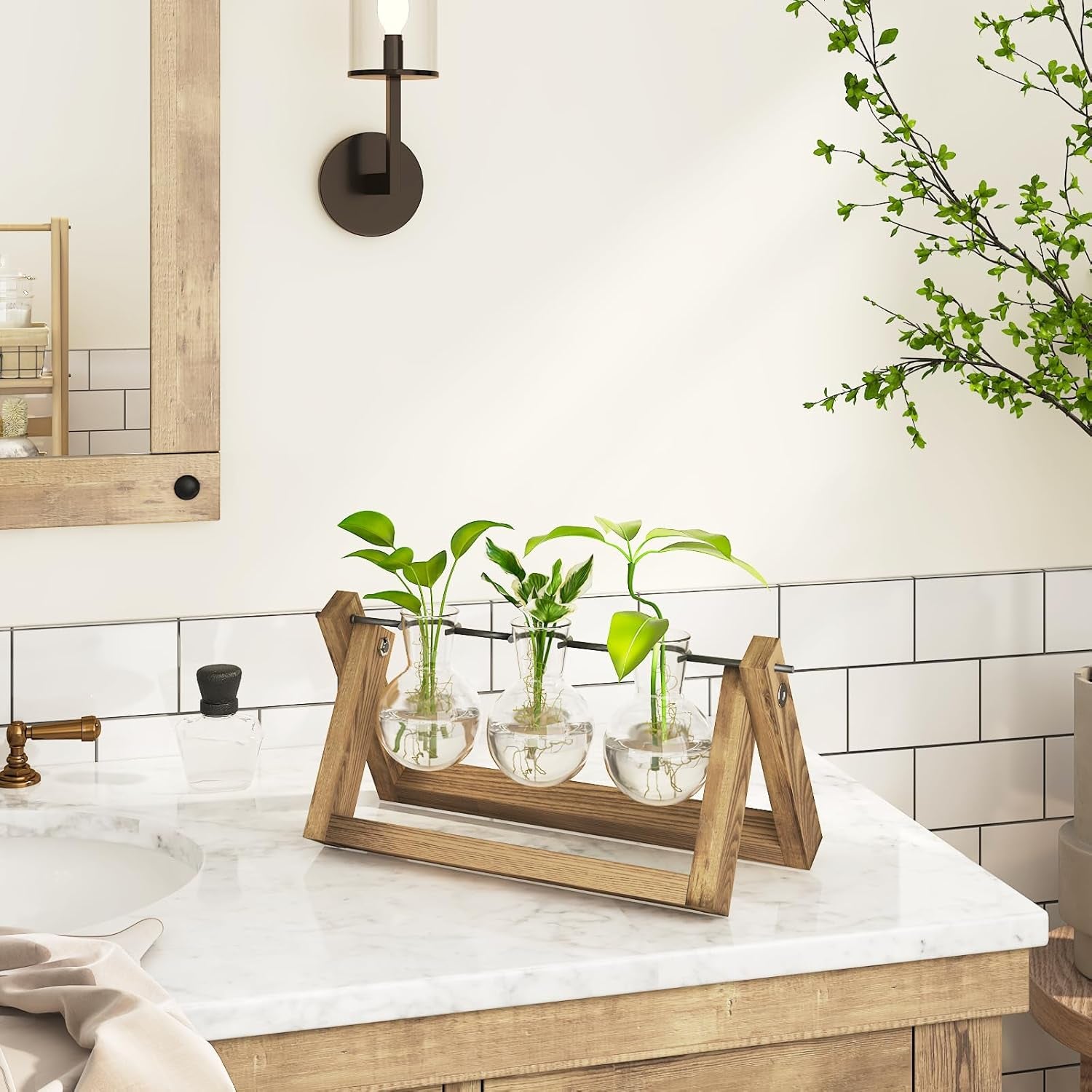 Estación de propagación hidropónica Bamworld con soporte de madera, 3 jarrones de cristal para cultivo de plantas acuáticas y decoración del hogar