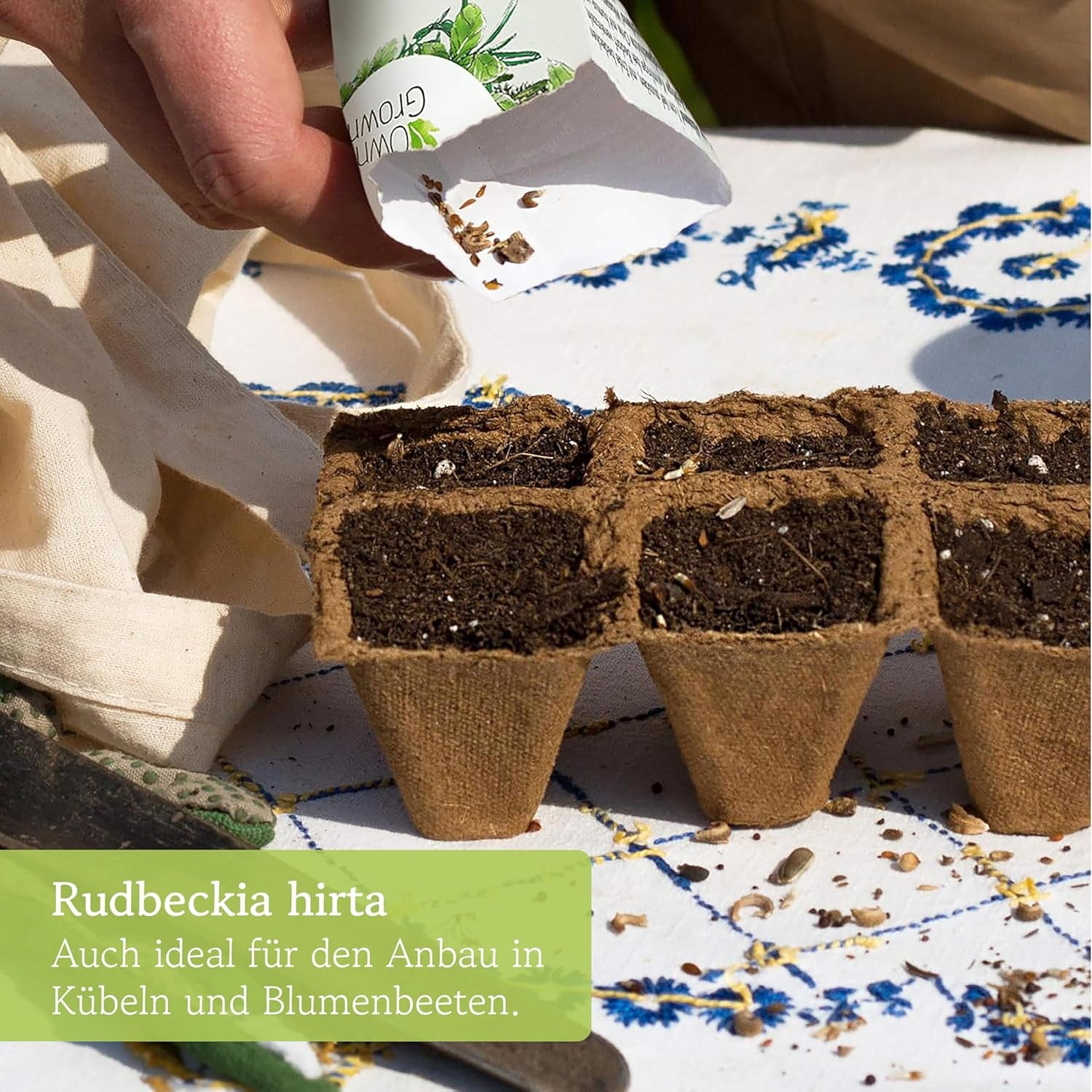 Semillas de equinácea: Semillas de equinácea amarilla de primera calidad para unas 20 plantas de equinácea con flores – Semillas de Rudbeckia – Rudbeckia resistente – Plantas perennes de equinácea – Plantas perennes resistentes de OwnGrown