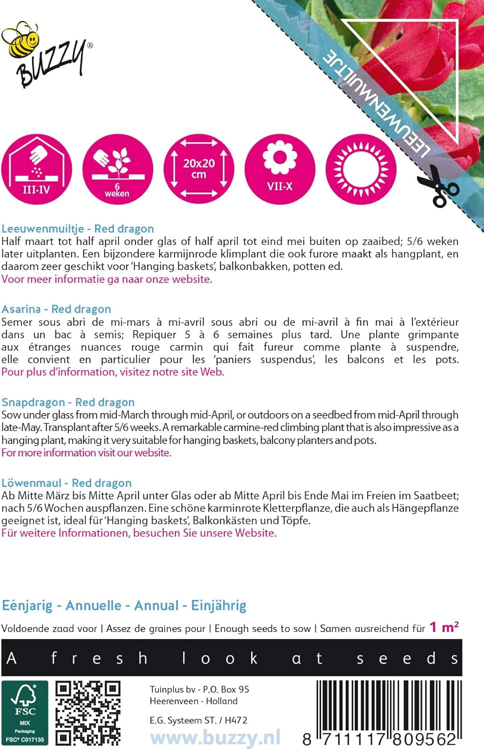 Tarareando flores trepadoras, Dragón Rojo Asarina