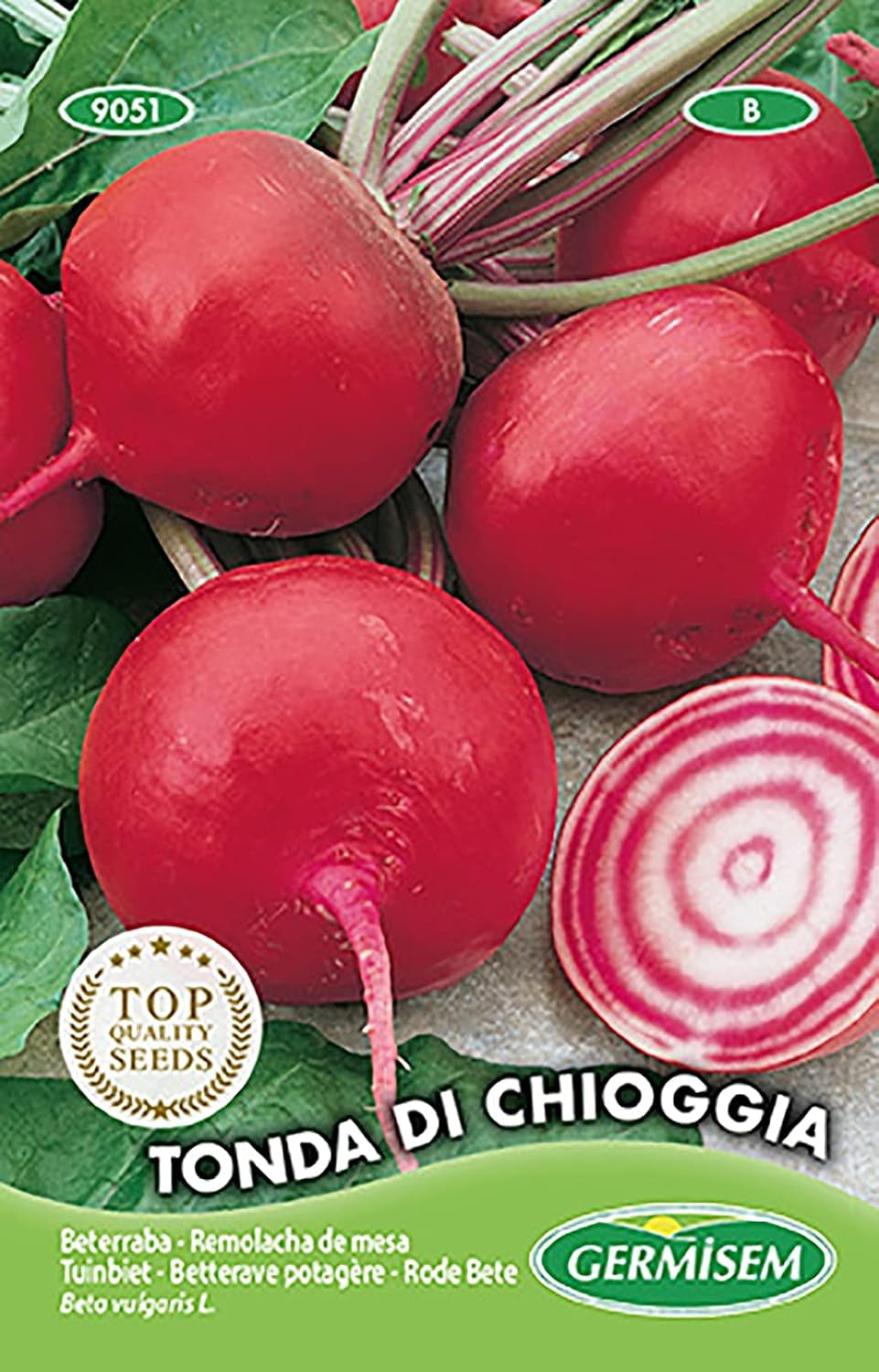 Rode Bete TONDA DI CHIOGGIA