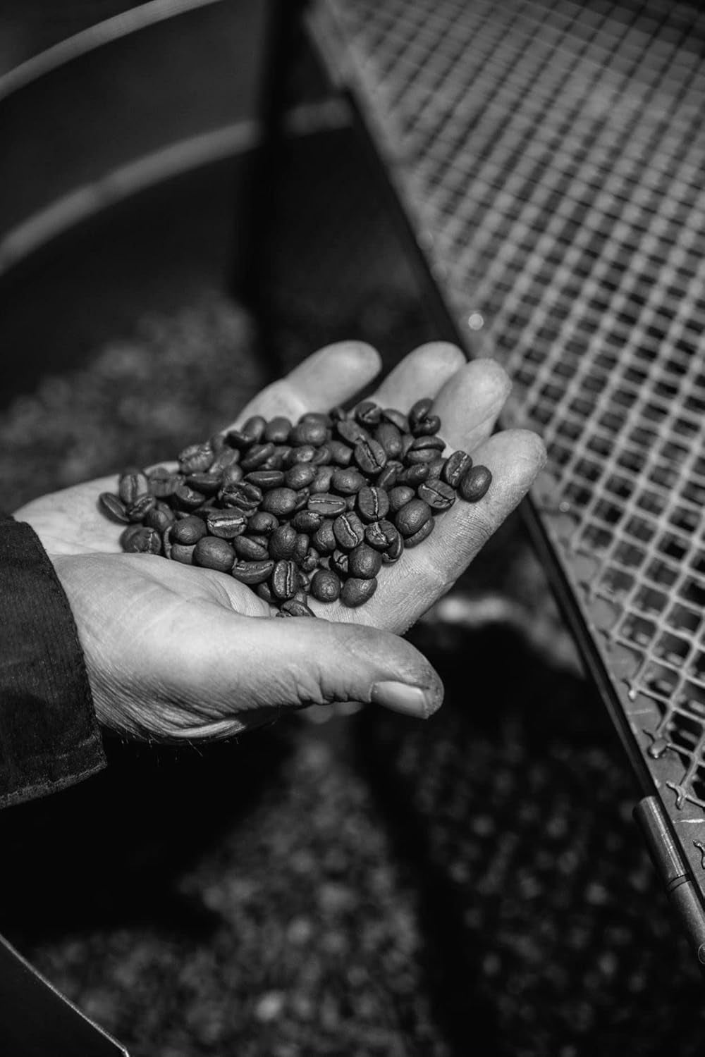 Bristot Buongusto Crema Oro, fasole intreaga, 1kg