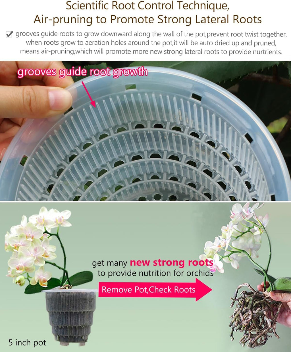 Ghivece pentru orhidee cu găuri de drenaj pentru transplantare, circulație excelentă a aerului, 2 bucăți, plastic cu strat dublu, jardinieră ceramică pentru orhidee, ghiveci transparent pentru orhidee, decorativ