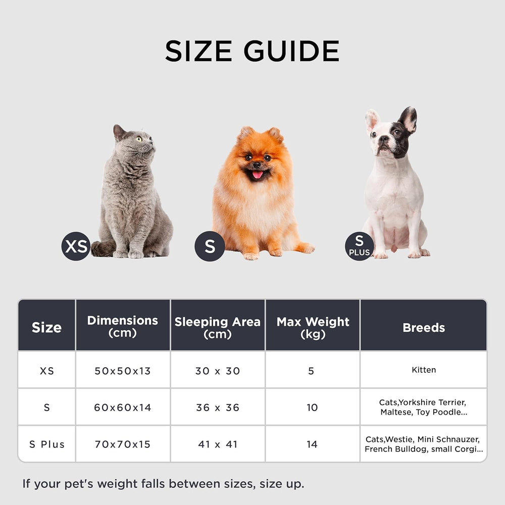 Paturi, cuverturi & mobilier, animale de companie, pisici, paturi pisici, Pisici - culcusuri, saltele