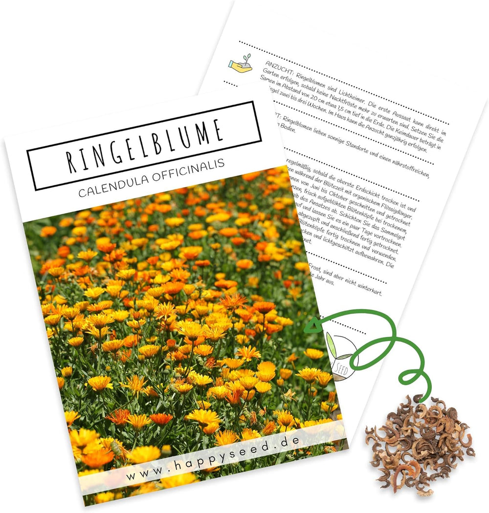 Semillas de caléndula (Calendula officinalis) - Planta medicinal versátil con flores comestibles e ideal para un prado de flores coloridas (Abendrot)