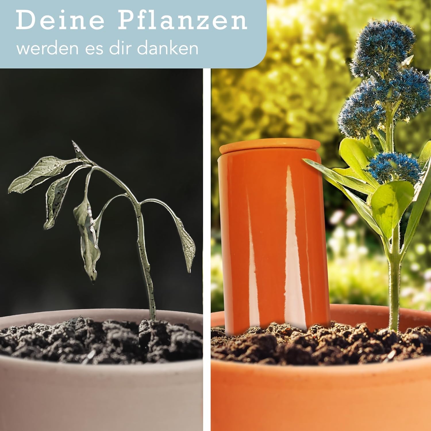 Terracotta Gießhilfe (3X 330 Ml) Handgefertigt Für Bewässerung Zimmerpflanzen | Wasserstandsanzeiger Pflanzen | Watering Can | Gießkanne Zimmerpflanzen