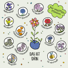 Die Stadtgärtner I 500 Bunte Blumenmurmeln – Lose & Unverpackt Zum Basteln Und Verschenken I Natürliche Geschenke Und Mitgebsel Für Kinder & Erwachsene