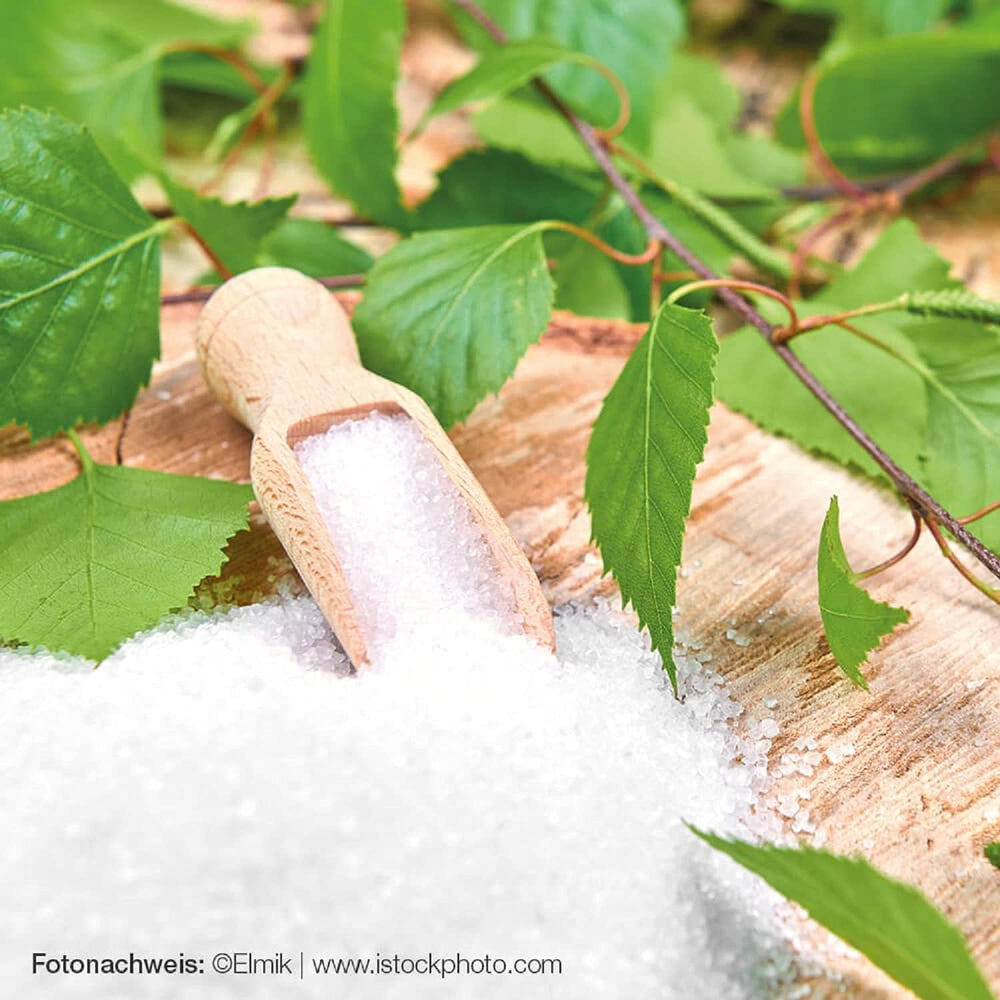 Raab Vitalfood Premium Birkenzucker, Xylit, Vegano, Alternativa al Zucker 1:1, Süßungsmittel, Zahnfreundlich, Vorratspack, 750 G Edulcorantes Naty Shop