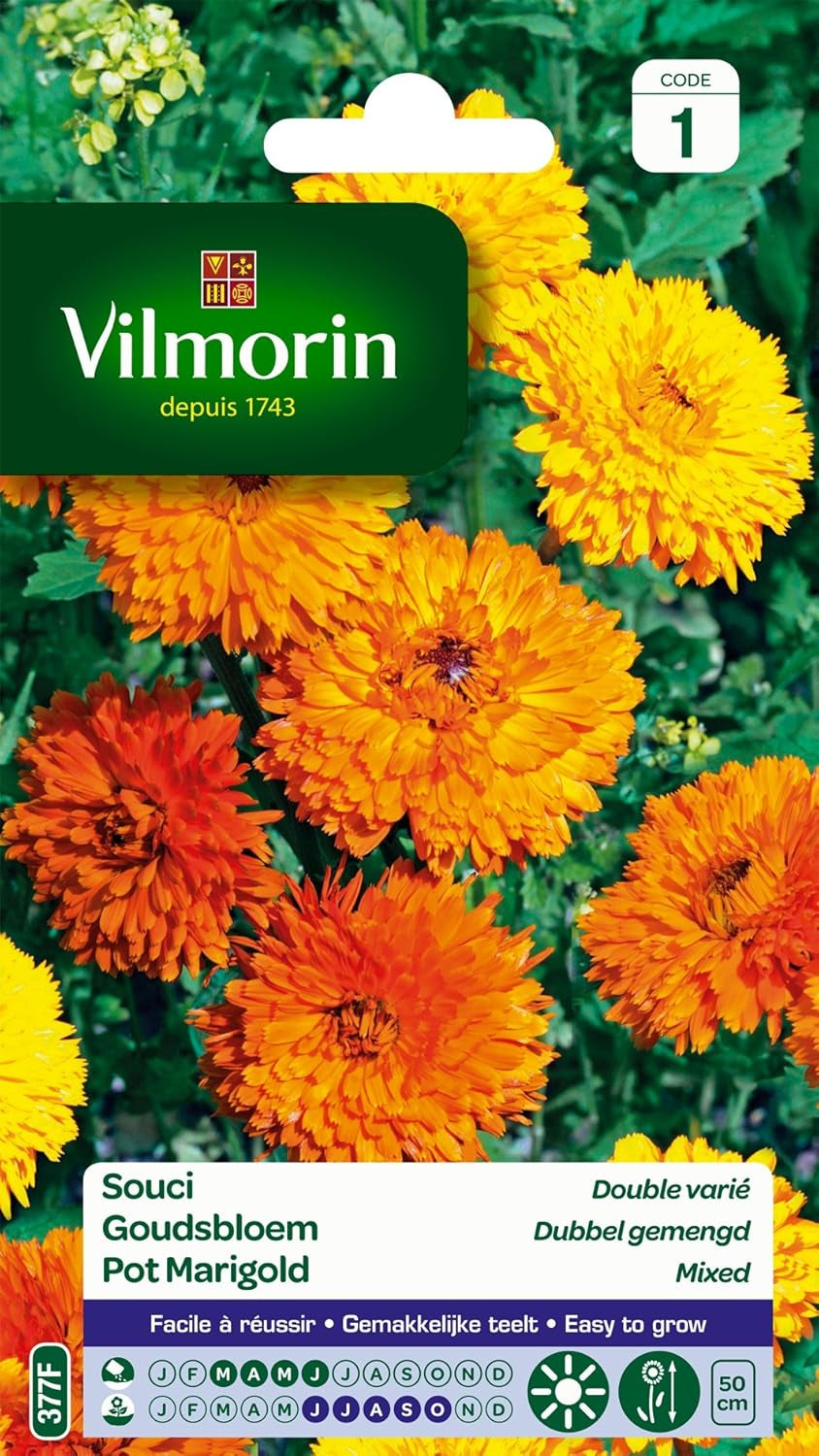 5791041 Ringelblume Zweifarbig, 90 X 2 X 160 Cm