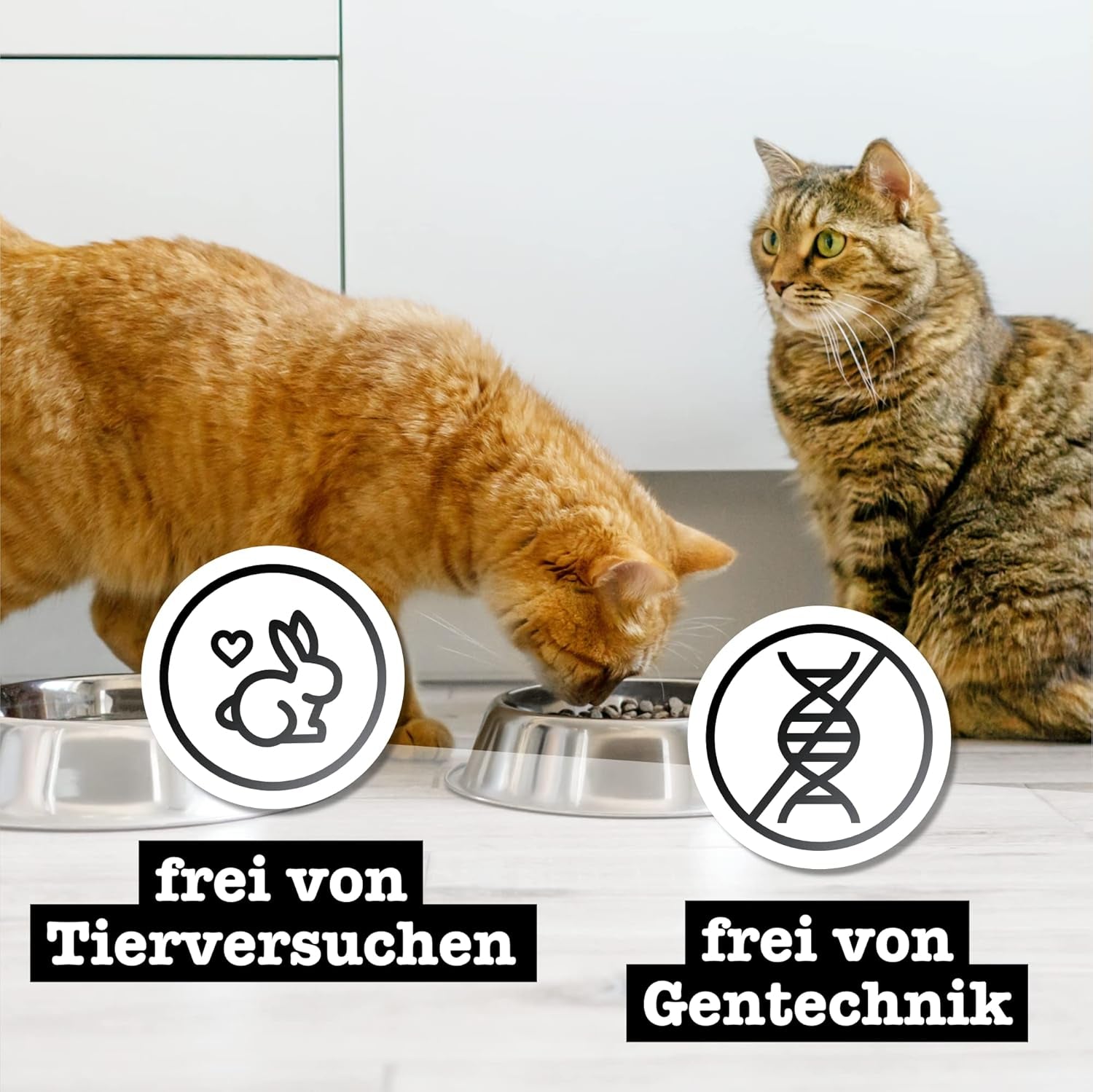 Catz Finefood Purrrr Collection I - Hrană umedă monoproteinică pentru pisici - fără cereale, fără zahăr, hipoalergenică - conținut ridicat de carne - Hrană umedă pentru pisici multipack - în pliculețe, 85 g (12 pachete)