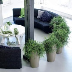 LECHUZA RONDO Premium 40 alb lucios 15740