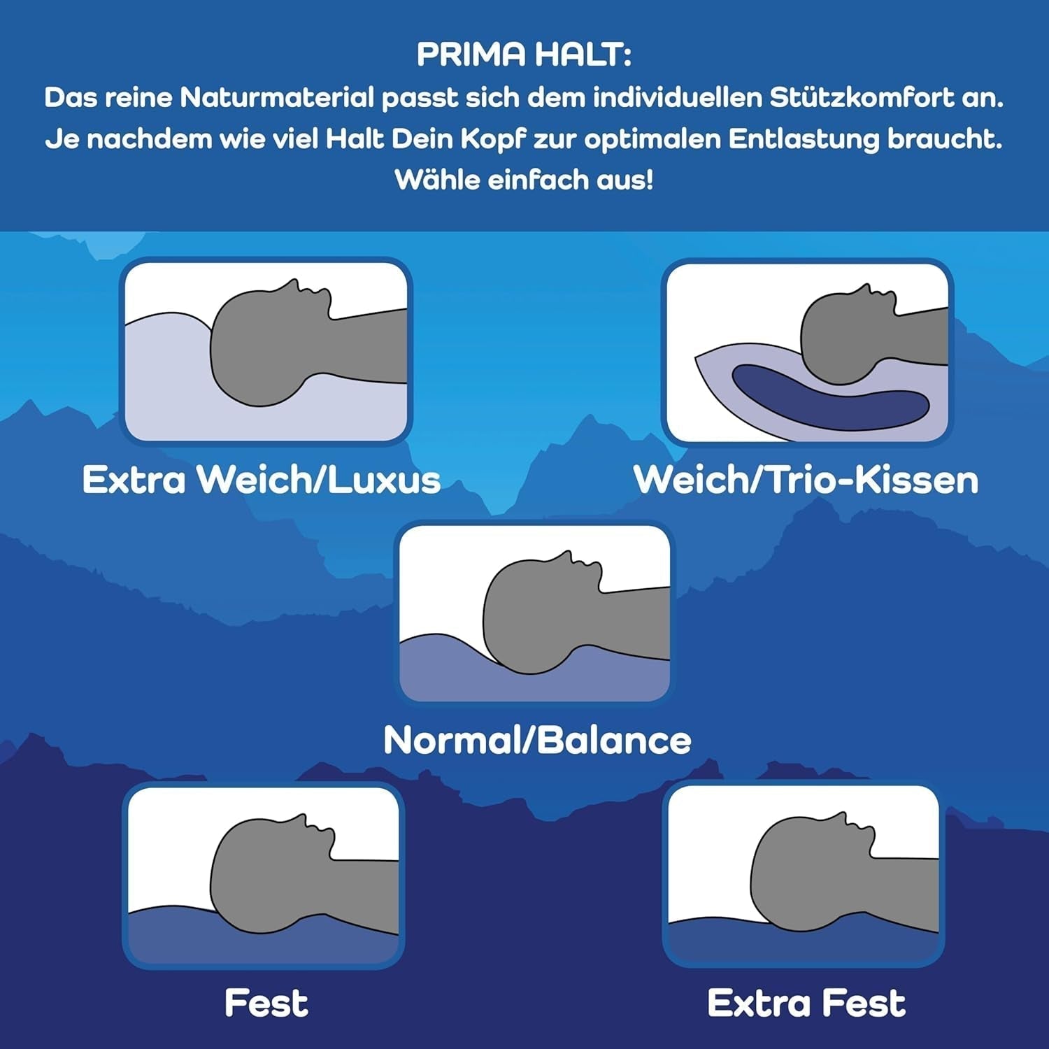 LINEA by Böhmerwald - Cosy - Pernă de înaltă calitate Balance, 40X80, 70% pene clasa 1, 30% puf nou, potrivit pentru alergici, lavabil până la 60°C, produs în Germania Perne standard Naty Shop