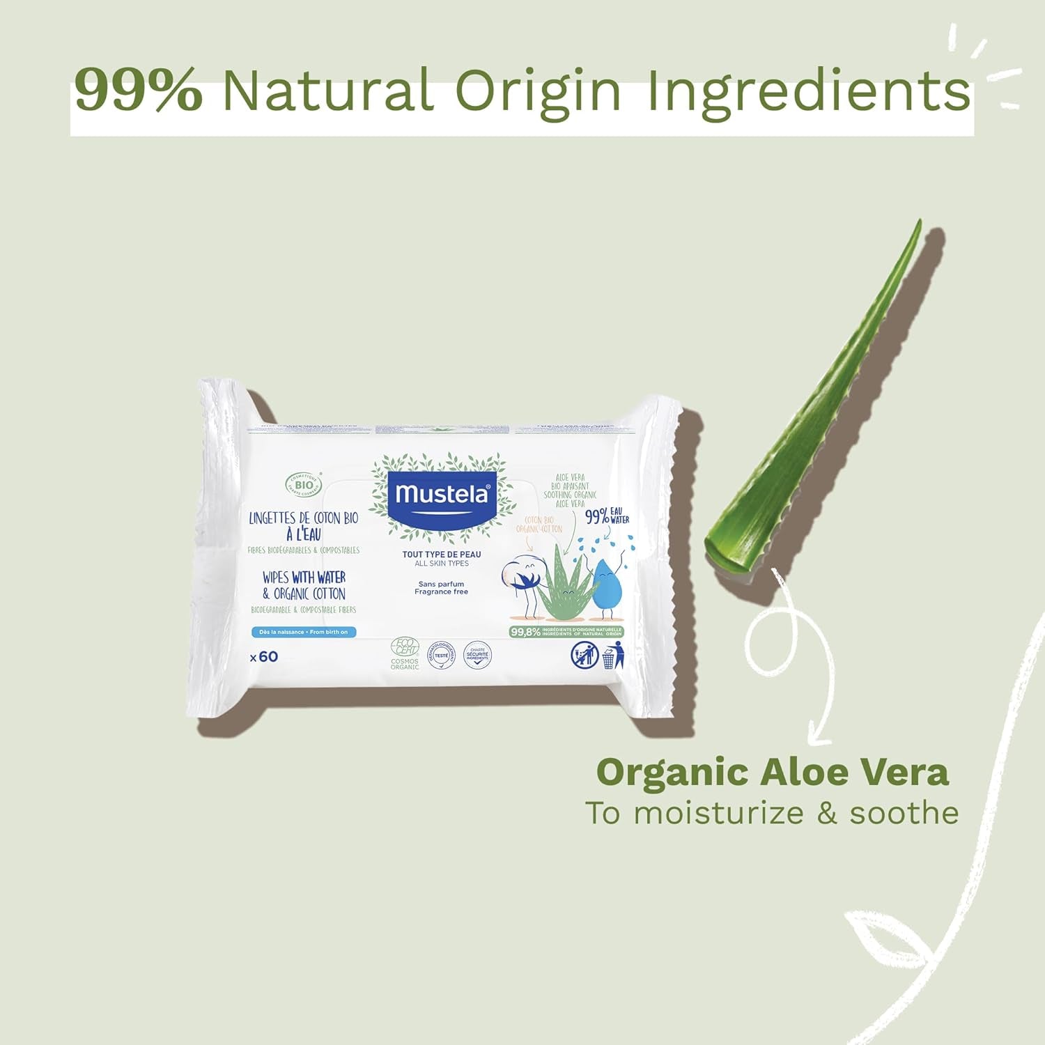 Lingette Coton À L'Eau 60uds