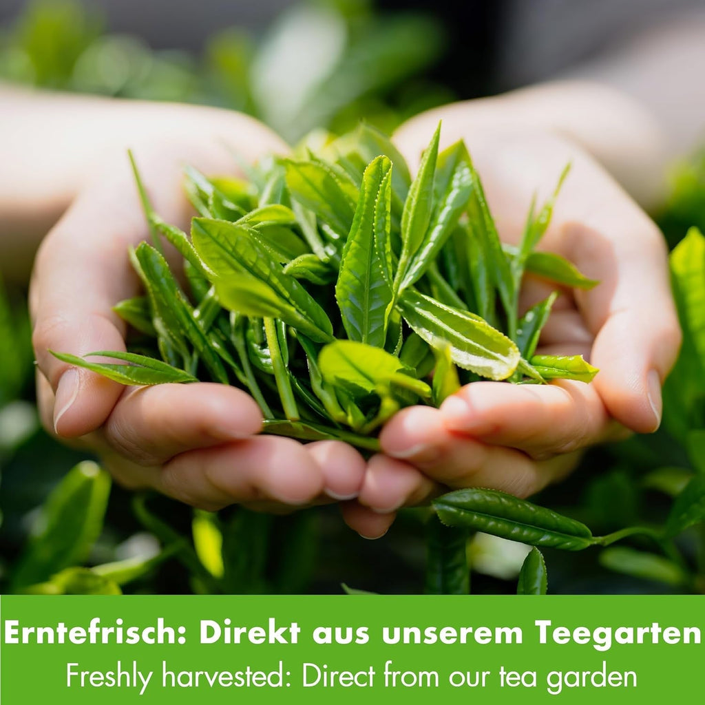 Goodwei Sencha Ceai verde organic Four Seasons - Ceai verde aromat, ușor amar, 250 g