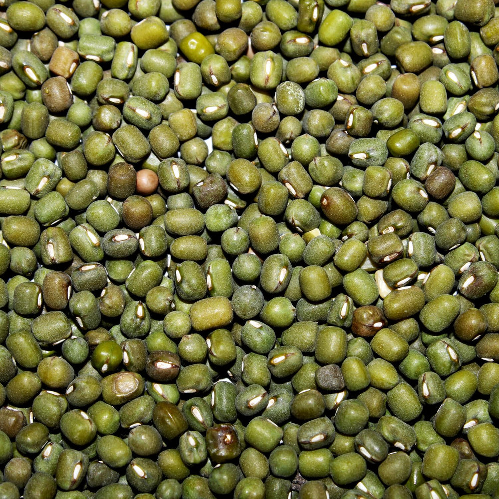 AFROASE - Judías verdes mungo - 1 x 1 kg (Paquete de 2)