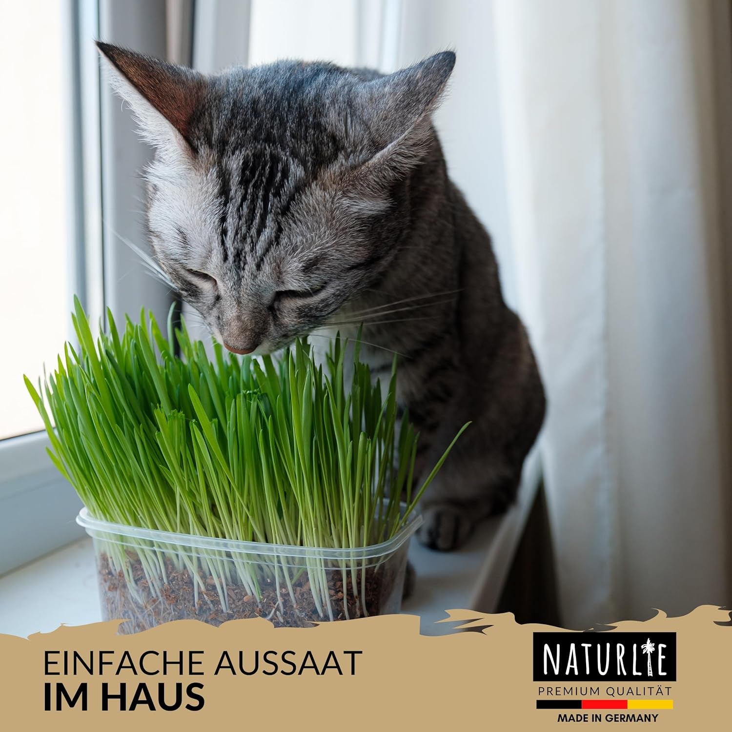 XXL 200G Premium Katzengras Samen Set: Saatgut Für 80 Töpfe Fertiges Katzengras - Saatgut Für Eine Sanfte/Weiche Katzenwiese - Premium Saatgut Für Deine Katze