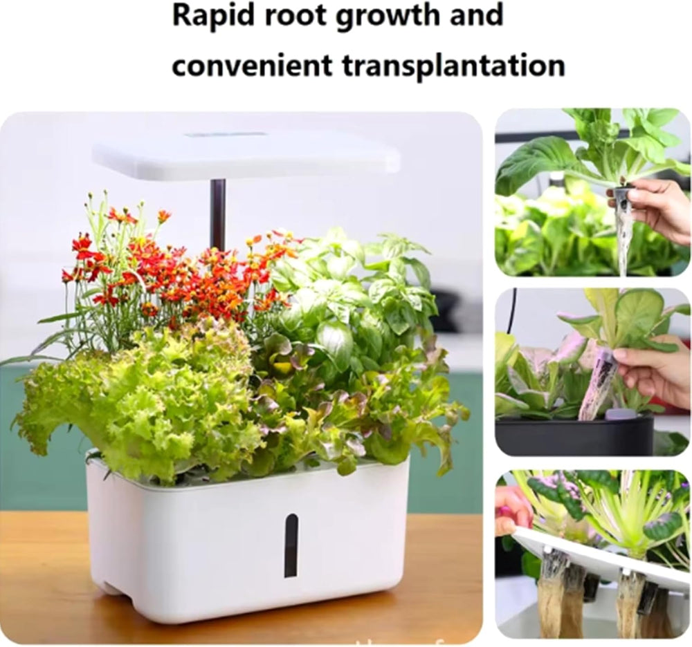 50 Esponjas de Cultivo de Repuesto, Tubos de Establecimiento de Semillas, Tapones de Esponja para Cultivo de Raíces, Kits de Cultivo Hidropónicos para Sistemas de Cultivo Hidropónicos, Hidropónicos de Interior, Jardín