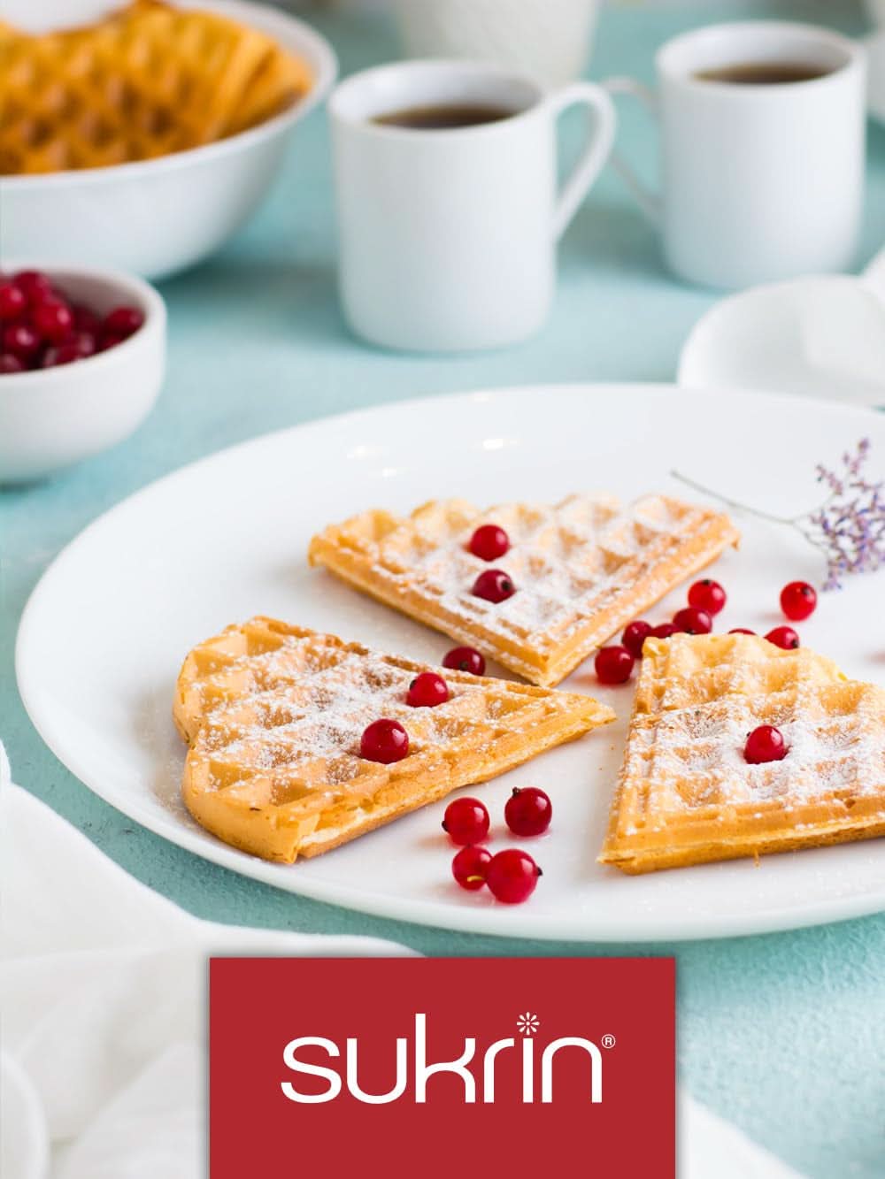 Sukrin Eritritol, alternativa natural al azúcar sin calorías, 1 paquete, 500 gramos Edulcorantes Naty Shop