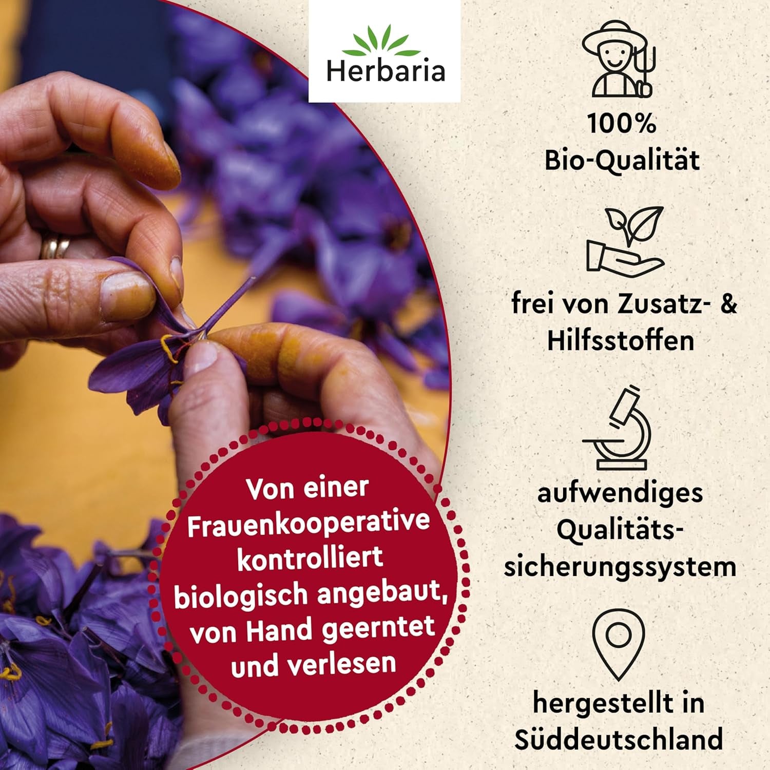 Herbaria Safran-Fäden bio 0,5g im Glas – Bio Saffron-Fäden aus dem bereicht Safran-Ort Taliouine in Marokko – Safranfäden in Premium Bio-Qualität – Saffron Premium - Safran première catégorie