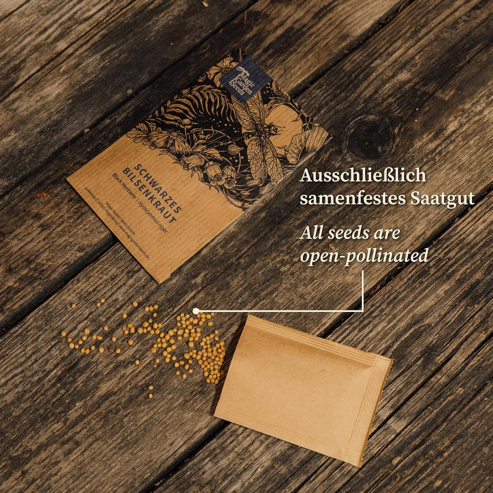 Magic Garden Seeds - Mittelalter Garten - Samen Geschenkset Mit 7 Pflanzen Für Den Mittelalterlichen Garten - Anzuchtset Mit Pfefferminze, Weinraute, Liebstöckel, Mangold, Pastinaken, Mispel, Einkorn