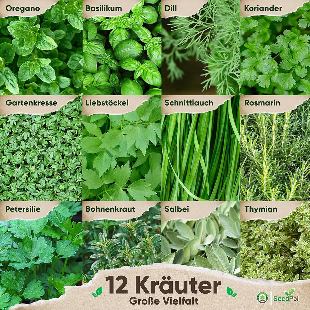 Kräutersamen Set - 12 Beliebtesten Küchenkräuter - Kräuter der Provence, Kräuter italiano - Kräutergarten für Küche oder Balkon - Samen Saatgut - Gartenkräuter Sorten