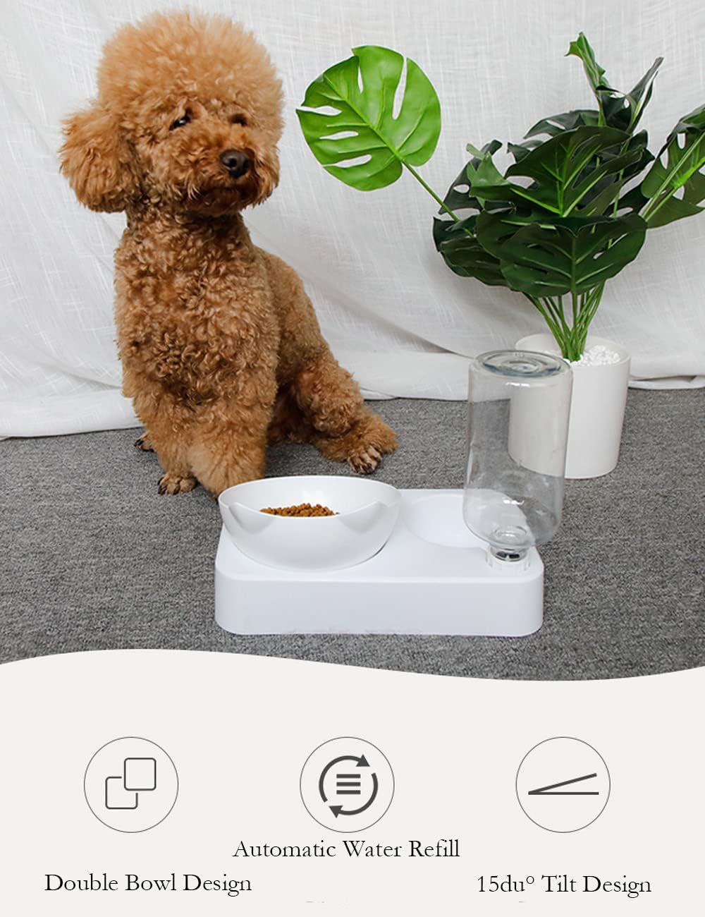 Brand Katzennapf, 15° Neigbar mit Automatischer Wasserflasche, gekippter erhöheter Wassernapf für Kleine und Mittelgroße Hunde und Katzen