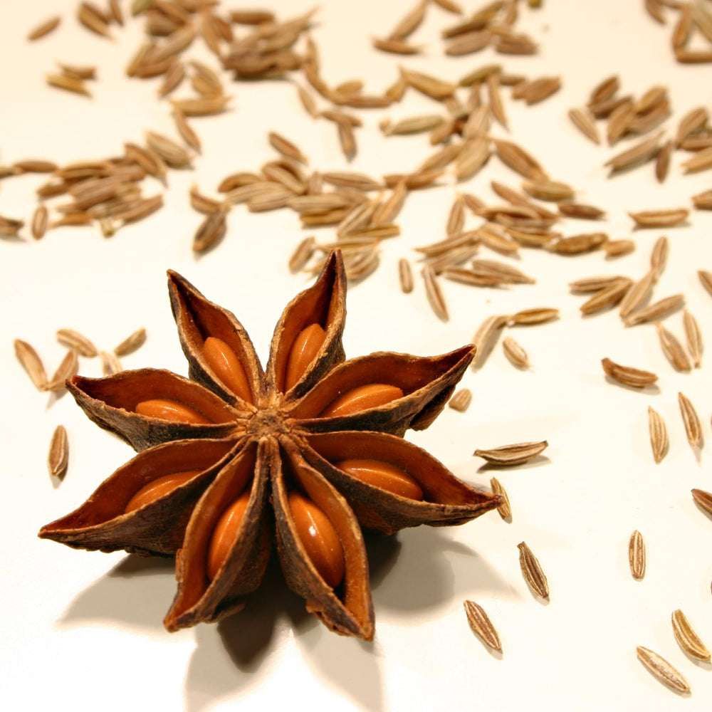 - Polvo Fünf Gewürze, (1 X 50 GR)