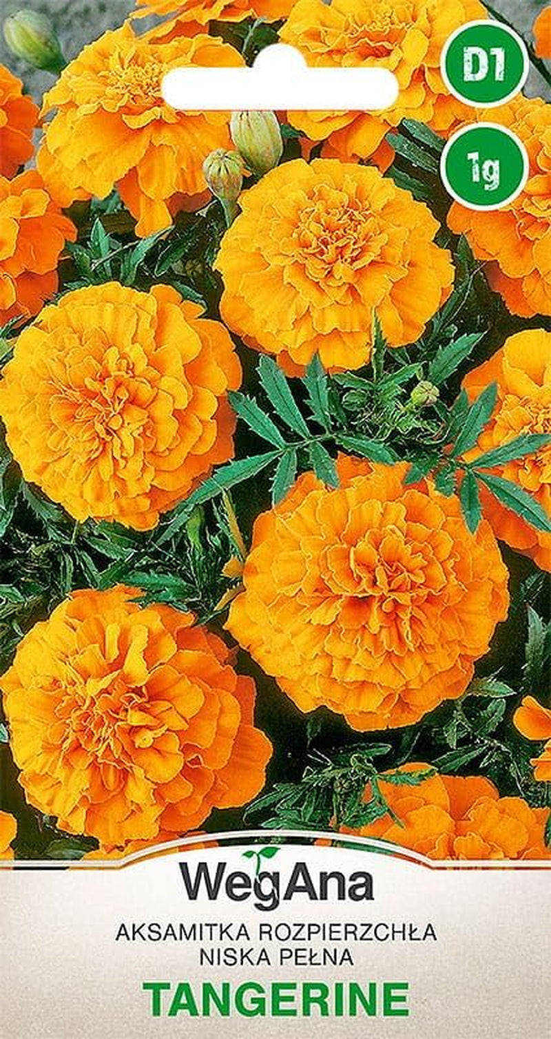 Cosmos Sensation Mix 1g semillas, Cosmos Mix Flores de verano, Plantas de jardín Plantas de balcón, Semillas de flores