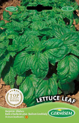 Basilikum LETTUCE LEAF