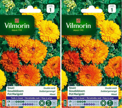 5791041 Ringelblume Zweifarbig, 90 X 2 X 160 Cm