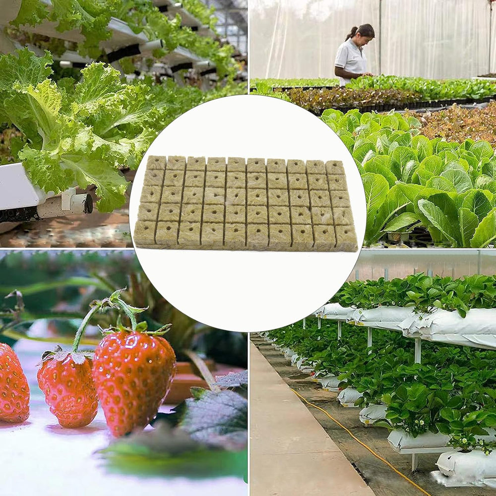 50 Piezas Estera de Cultivo de Lana Mineral, Cubo de Lana Mineral, Aislamiento de Lana Mineral, Estera de Cultivo de Lana Mineral con Tijeras y Guantes para Cultivo sin Suelo, Hidroponía y Trasplante