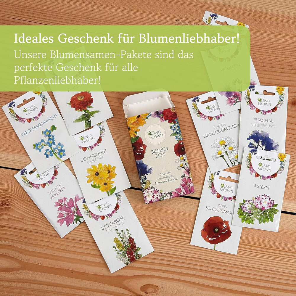 Semillas de equinácea: Semillas de equinácea amarilla de primera calidad para unas 20 plantas de equinácea con flores – Semillas de Rudbeckia – Rudbeckia resistente – Plantas perennes de equinácea – Plantas perennes resistentes de OwnGrown