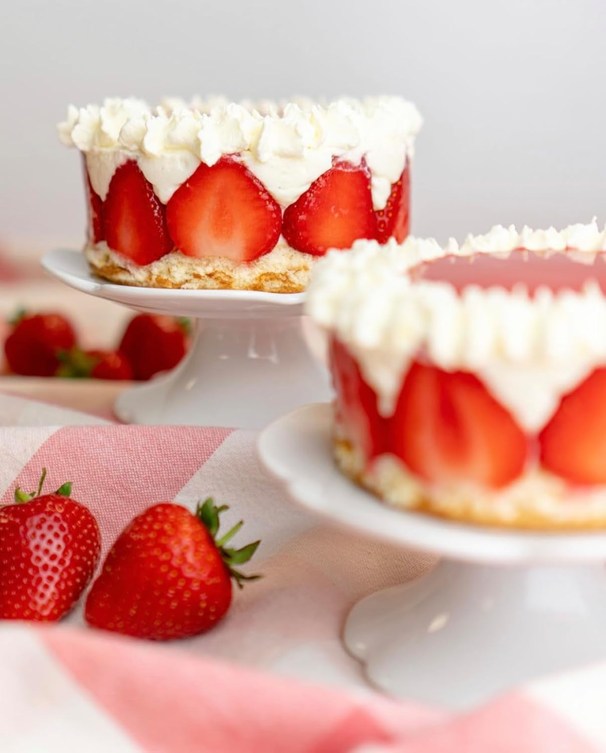 RUF Biskuit Teig, Backmischung Für Einen Saftigen Biskuitteig, Gelingsicher Und Schnell Zubereitet, Zur Herstellung Von Biskuitrollen, Biskuitkuchen Oder Tortenboden, 1 X 250G Naty Shop