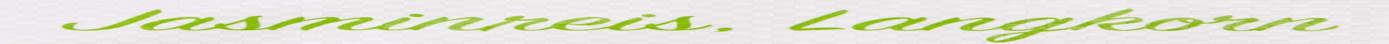 Arroz aromático RICEFIELD, grano largo, 1 paquete (1 x 18 kg)