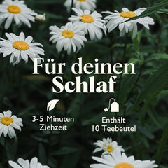 Twinings SWEET DREAMS Ceai de mușețel cu miere, portocale și flori de tei - Amestec dulce de ceaiuri din plante pentru îmbunătățirea naturală a calității somnului, pachet de 12 (10 pliculețe fiecare)