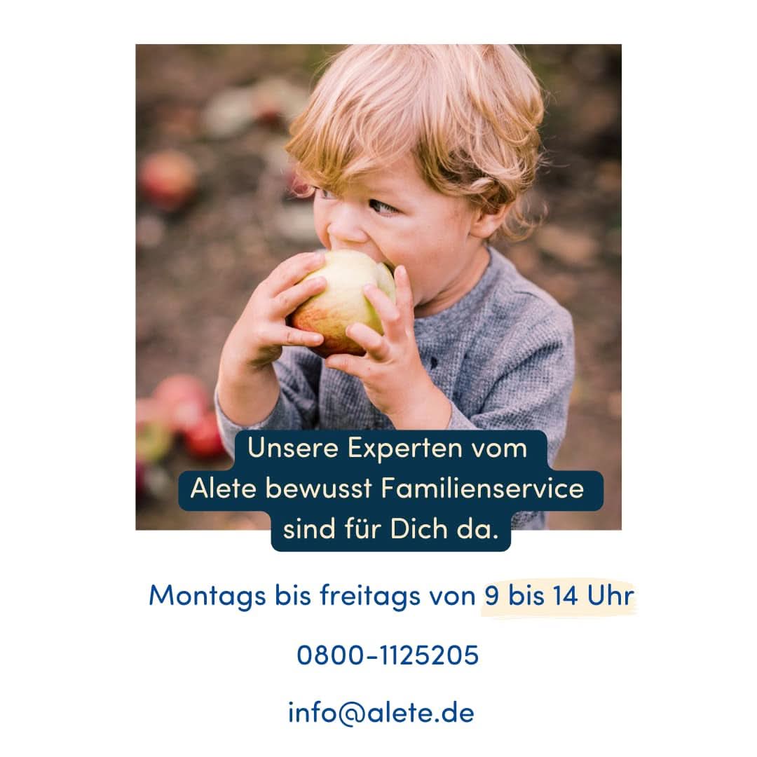 Alete Bio Schnitties cereales integrales y manzanas 6 X 22 gramos Madre e Hijo Naty Shop