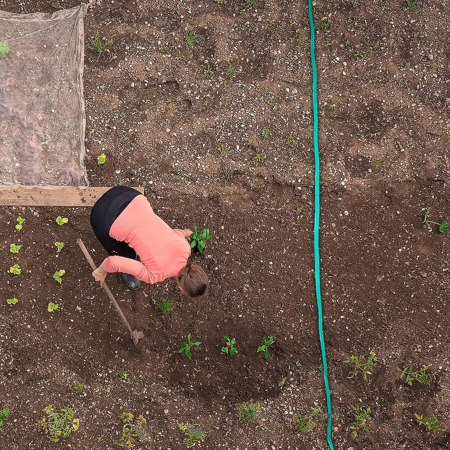 Furtun de irigații Relaxdays, lungime 5 m, udare uniformă a straturilor de grădină, plat, gata de conectare, furtun de aspersoare, verde