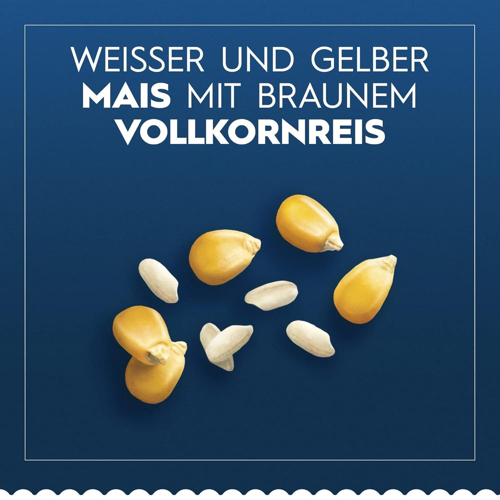 Barilla Pasta Lasaña Sin Gluten, elaborada con deliciosa maíz y arroz, perfecta para personas celíacas o intolerantes al gluten, paquete de 10 (10 x 250g)