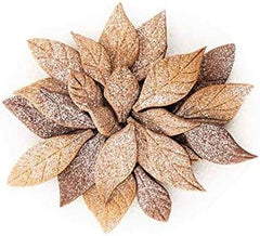 Silikomart, molde para galletas Voila Cookie Leaves, 240mm X 150mm, altura 20mm Cocina Naty Shop