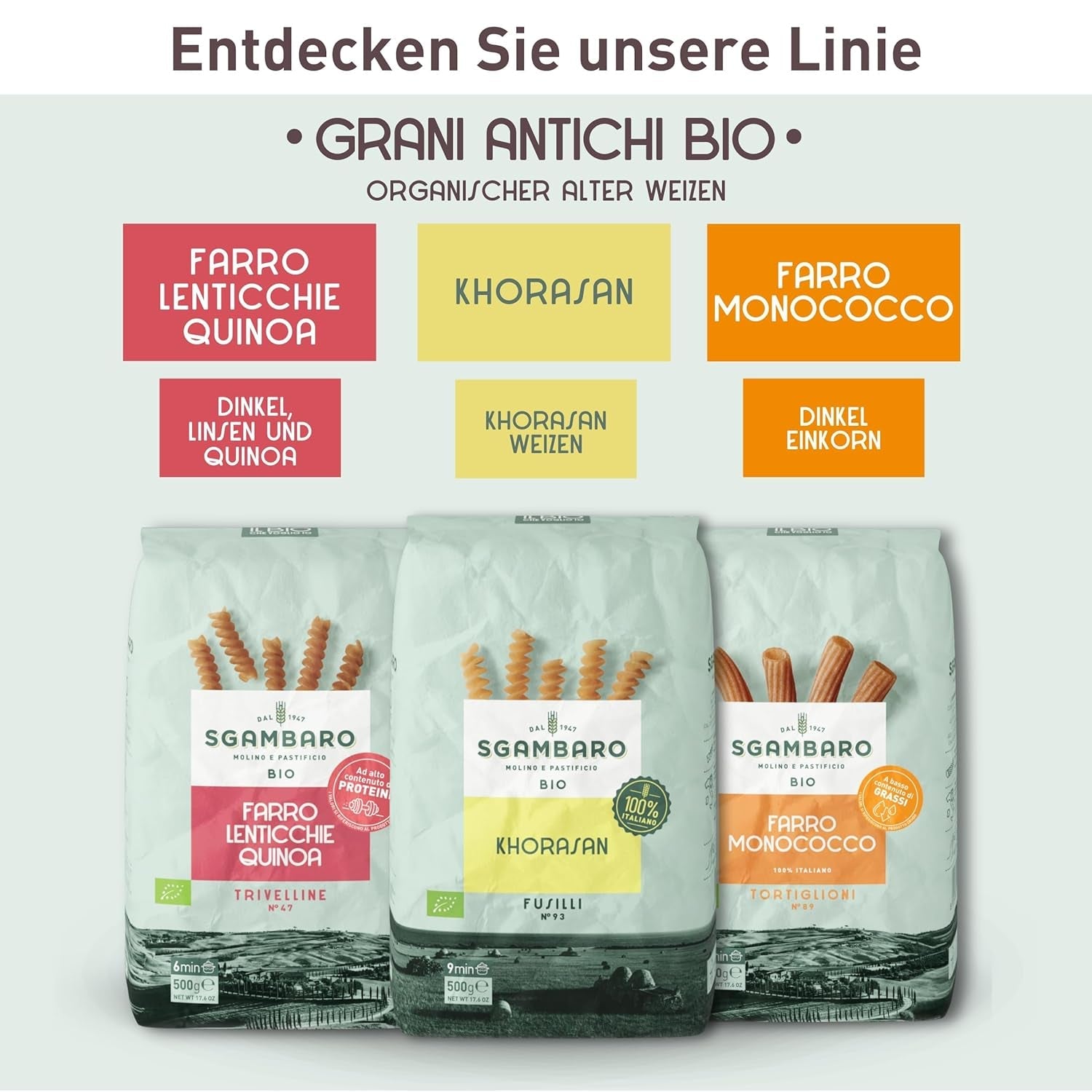 Paste organice Trivelline N.47 - 500g cu făină de spelta, făină de linte și făină de quinoa – Bogate în proteine, sursă de fibre și proteine
