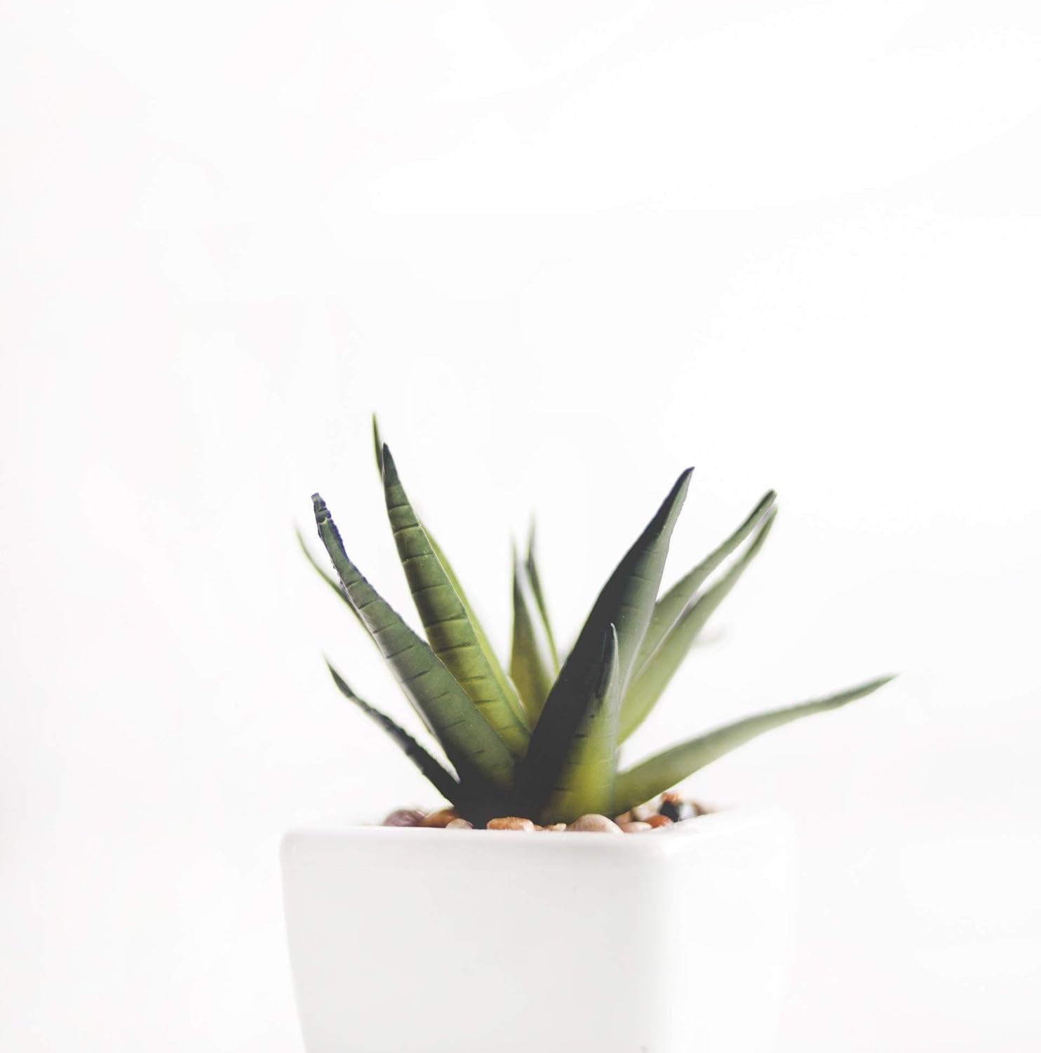 1L Lewatit HD-50 Gránulos de fertilizante hidropónico de alta calidad a largo plazo Perfecto para todas las plantas ornamentales Efecto a largo plazo hasta 6 meses