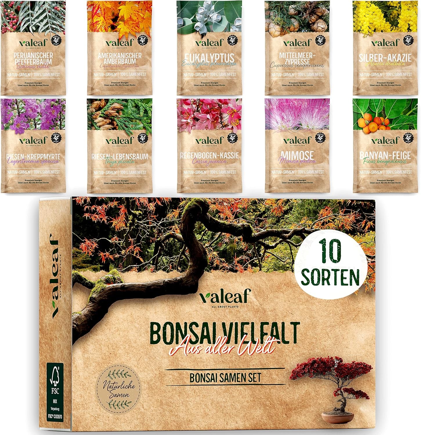 10 Semillas de Bonsái de 5 Continentes | Semillas de árboles exóticos para tu bonsái único | Kit de inicio y entusiastas de las plantas | Nuestro set de bonsái como idea de regalo especial