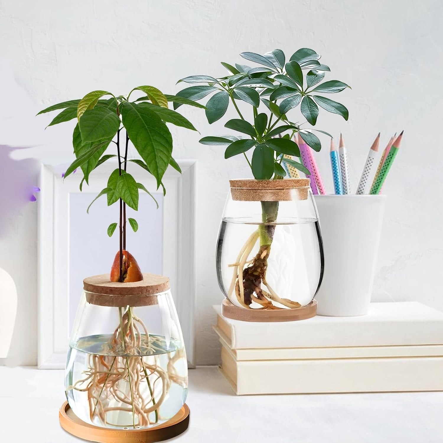 Estación de cultivo de plantas hidropónicas 12x11cm Florero de semillas de aguacate Macetero de vidrio Florero de vidrio hidropónico para plantas acuáticas o flores Decoración de mesa de escritorio 2 piezas