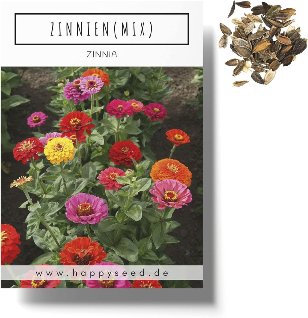 Mezcla de semillas de Zinnia (Zinnia) - Coloridas flores de verano para el parterre del jardín, el balcón, la terraza y como flor cortada en jarrones